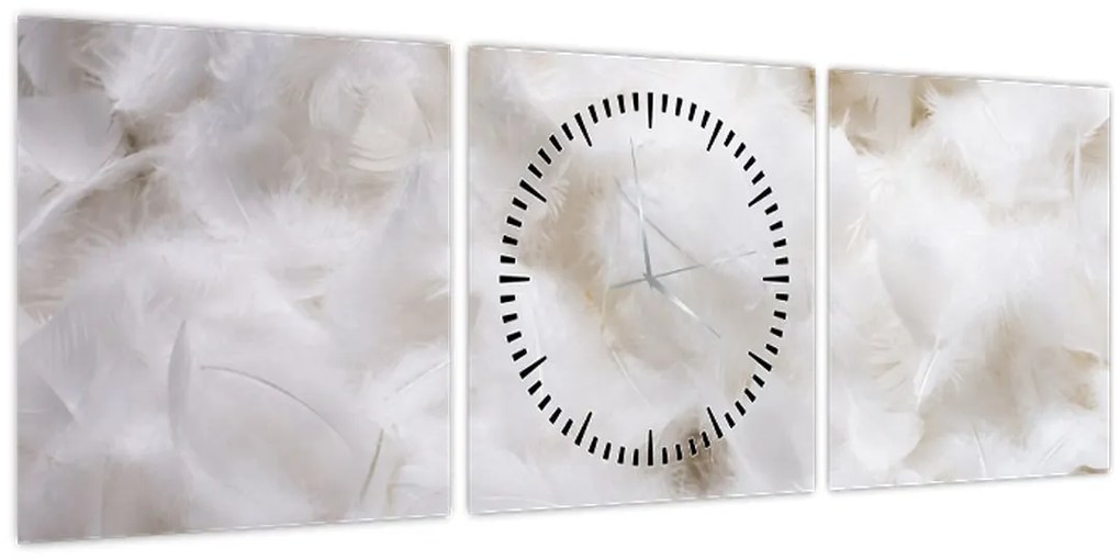 Obraz - Biele perie (s hodinami) (90x30 cm)