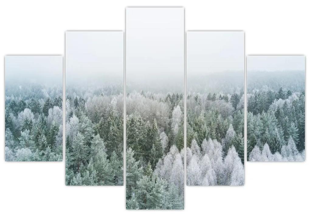 Obraz - Zasnežené vrcholky lesov (150x105 cm)