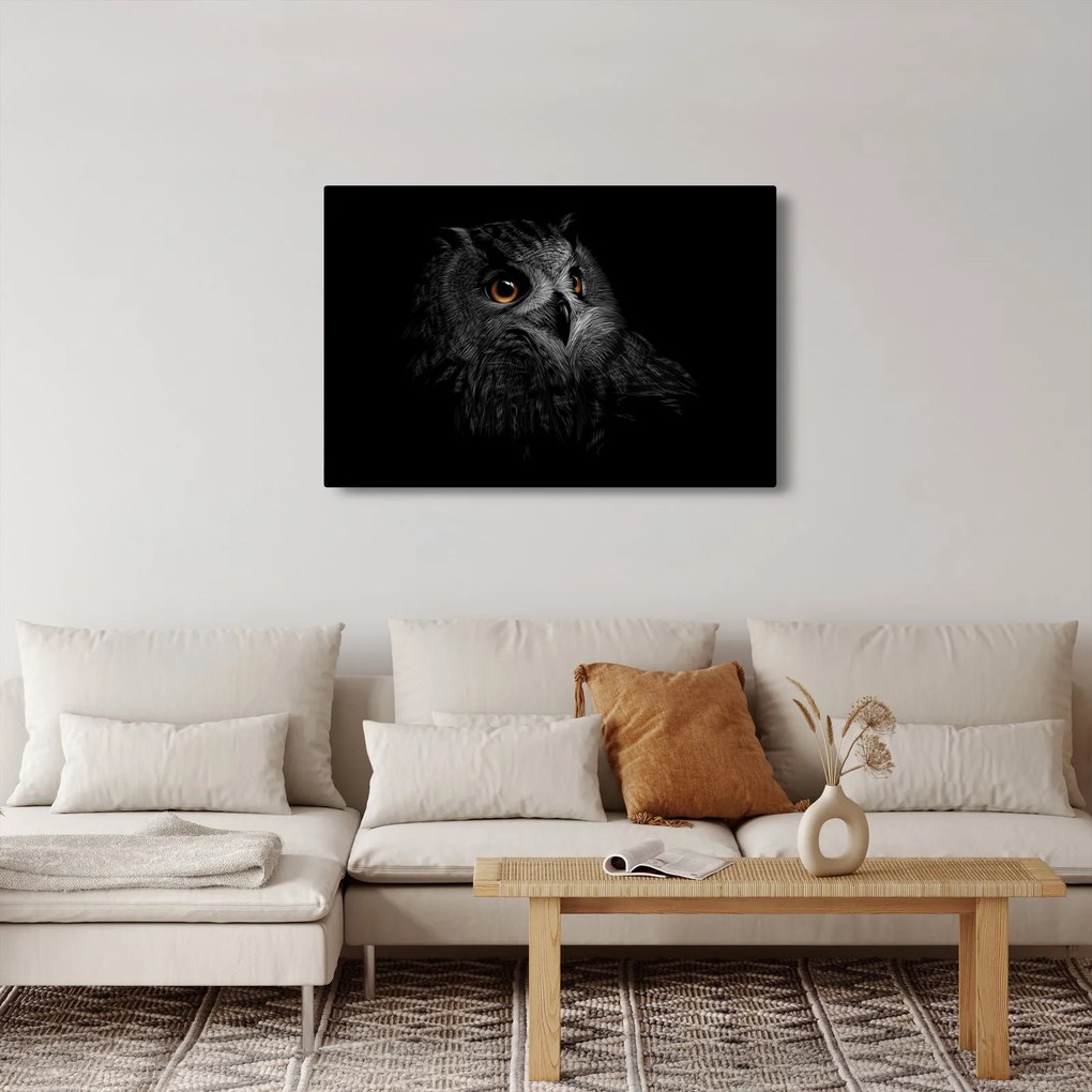 Obraz - Sova, ilustrácie (90x60 cm)