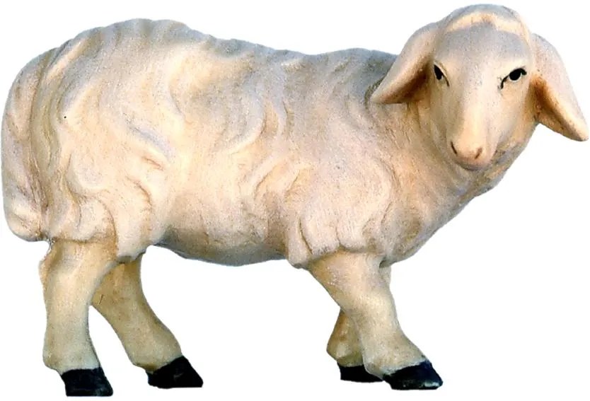 Zvieratá pre Betlehem - Ovca