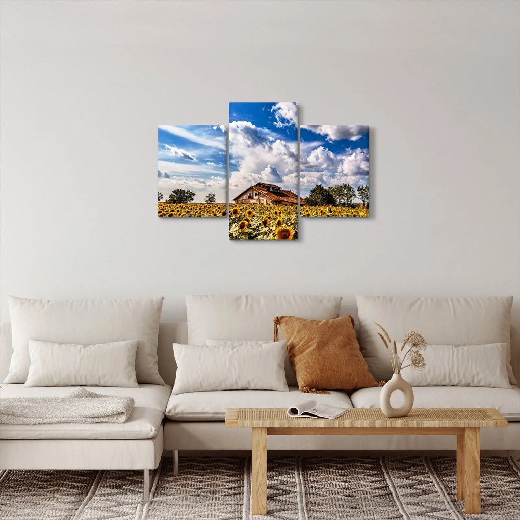 Obraz slnečnicového poľa (90x60 cm)