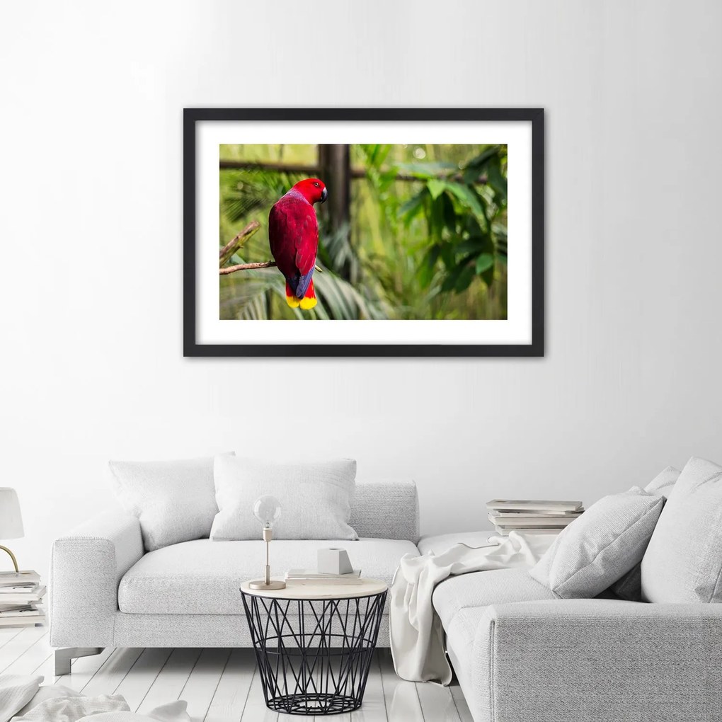 Gario Plagát Papagáj z raja Farba rámu: Bez rámu, Rozmery: 60 x 40 cm