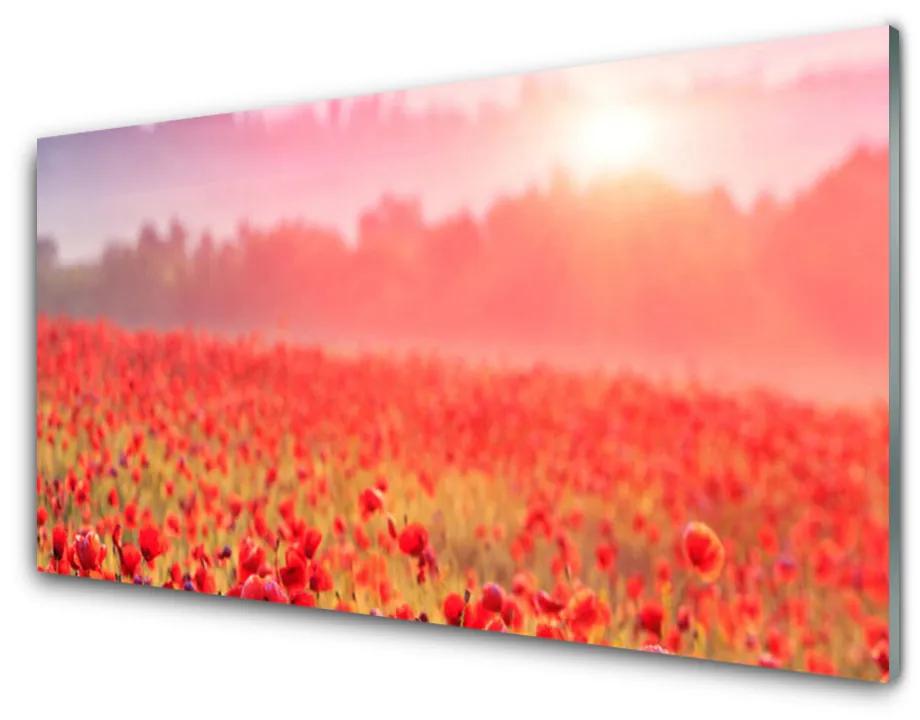 Nástenný panel  Lúka kvety príroda 140x70 cm