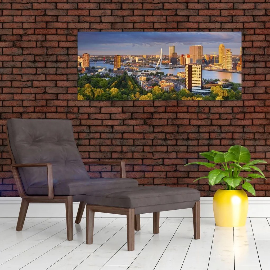 Obraz - Panorama Rotterdamu, Holandsko (120x50 cm)