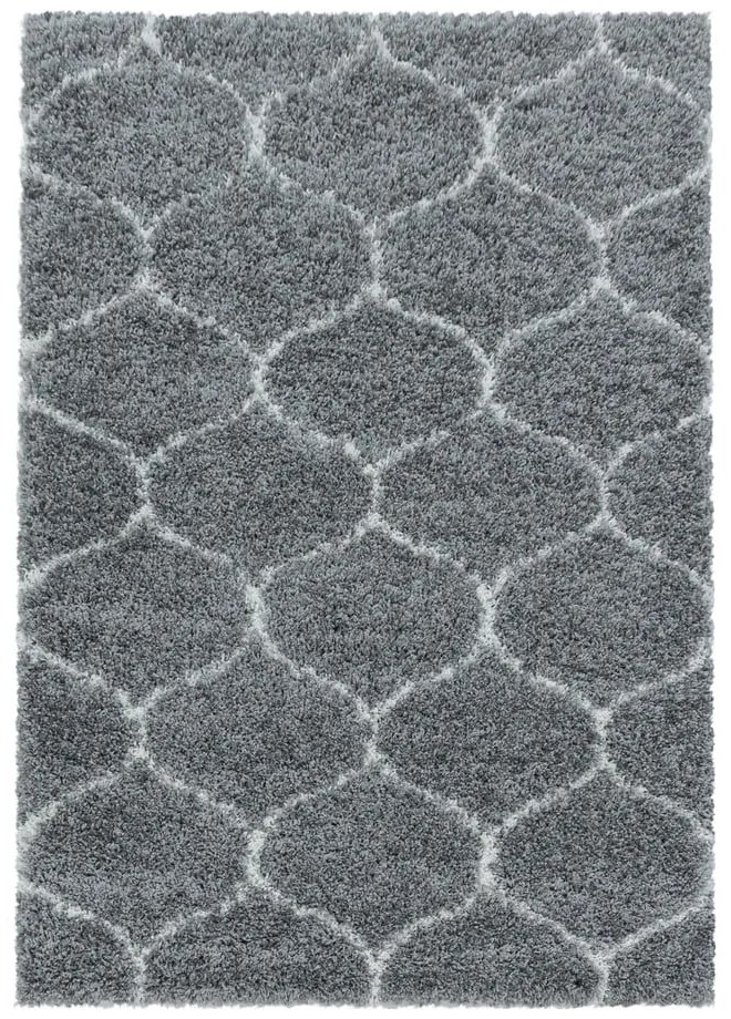 Sivý koberec 200x290 cm Salsa – Ayyildiz Carpets