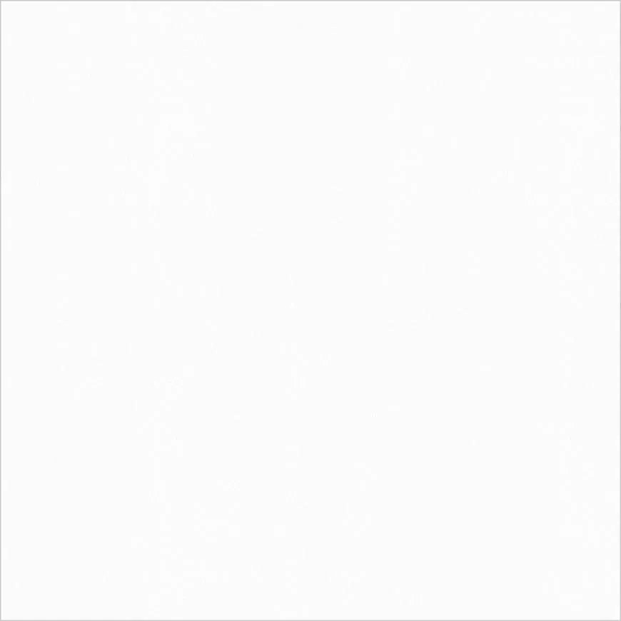 Monolook White Lappato 59,8/59,8