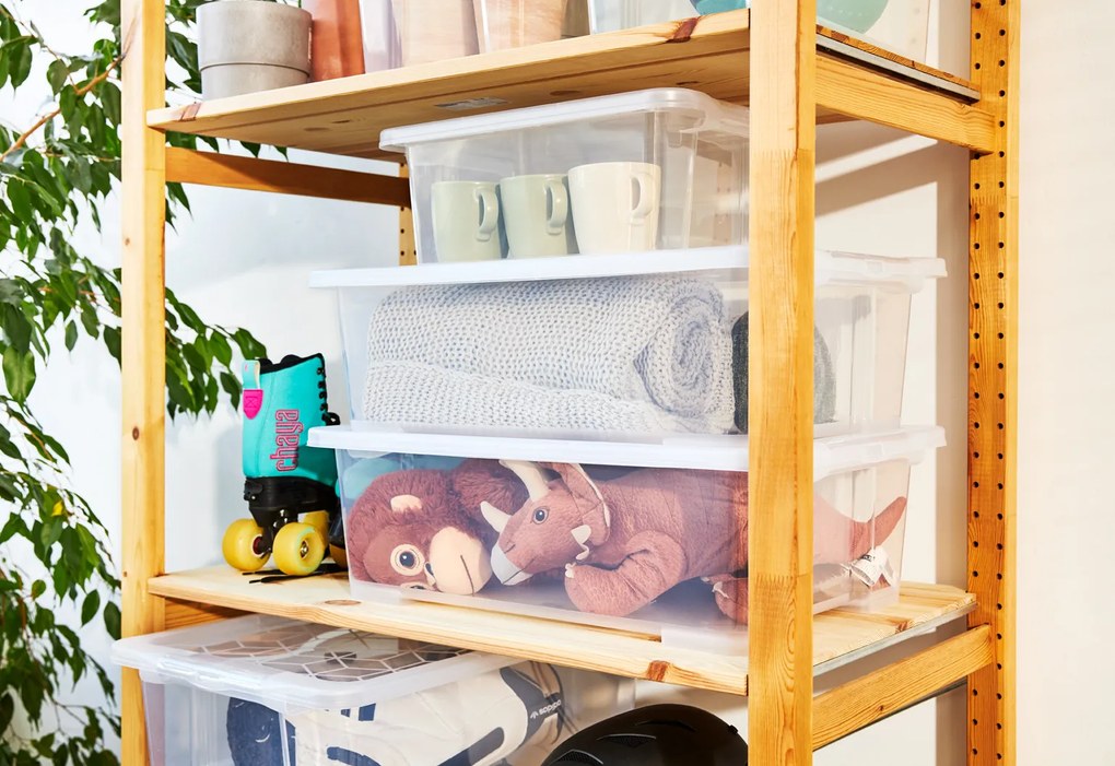 Rotho Univerzálny úložný box, krabica s vekom, EVO, transparentný - 58x39x44 cm, 44 l