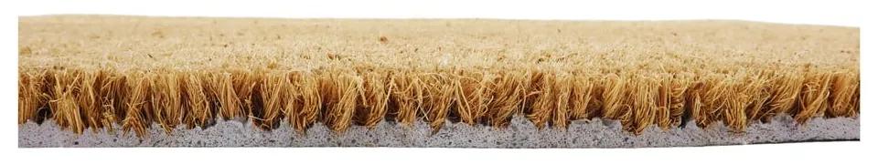 Rohožka z kokosového vlákna 40x60 cm This Home Runs On Prosecco – Artsy Doormats