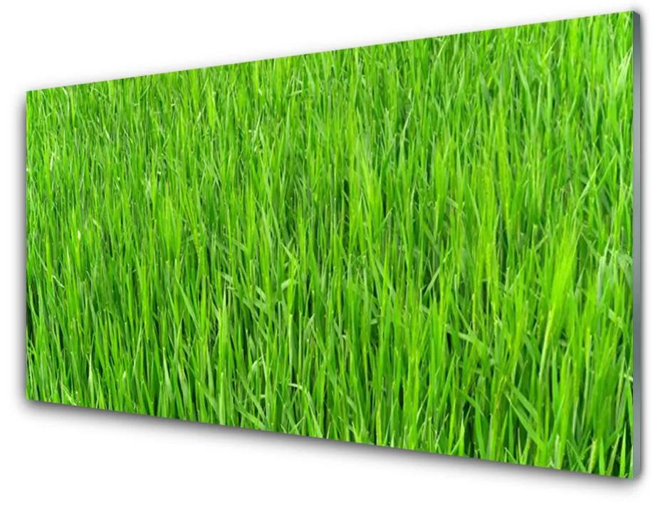 Sklenený obklad Do kuchyne Zelená tráva príroda trávnik 125x50cm