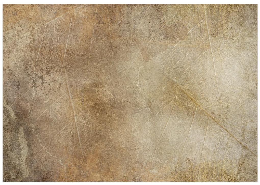 Artgeist Fototapeta - Golden Leaves of Time Veľkosť: 100x70, Verzia: Standard