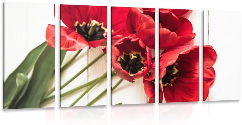 5-dielny obraz rozkvitnuté červené tulipány Varianta: 100x50