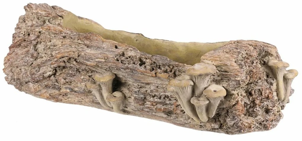 Betonový obal - truhlík, drevo s hubami, 49 x 21 x15 cm