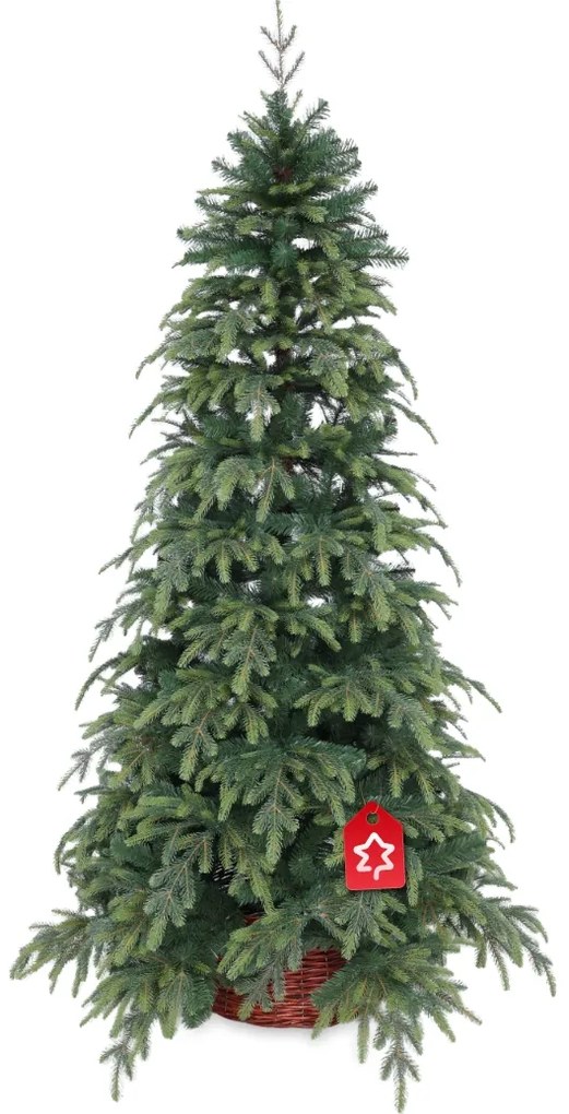 Smrek Natura 210 cm