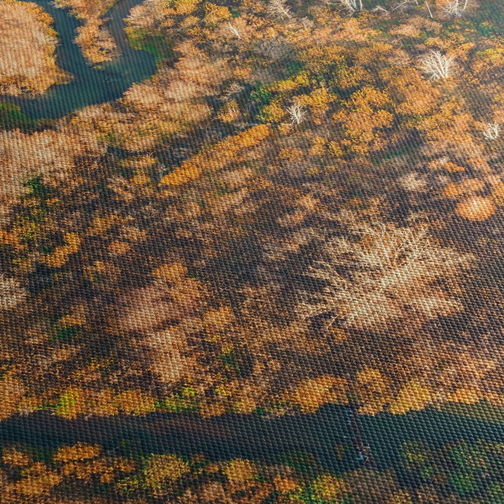 Obraz - Rieka v tvare srdca (90x60 cm)