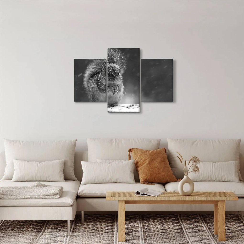 Obraz - Veverička v zime (90x60 cm)