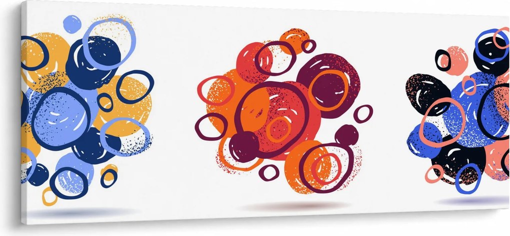 Obraz farebných kruhov (120x50 cm)