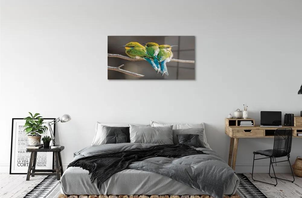 Sklenený obraz Vtáky na vetve 100x50 cm