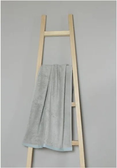 Sivý bavlnený uterák My Home Plus Spa, 50 × 100 cm