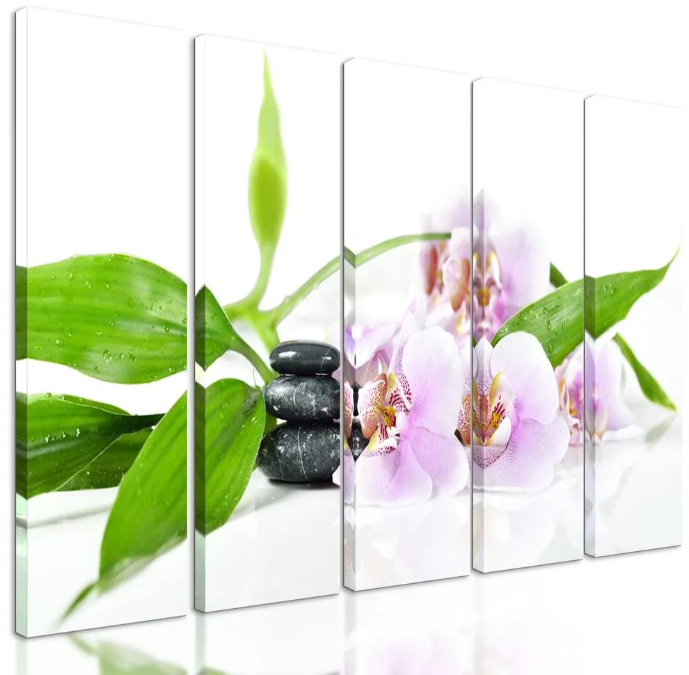 5-dielny obraz ukľudňujúce Zen zátišie s kvetmi orchidey