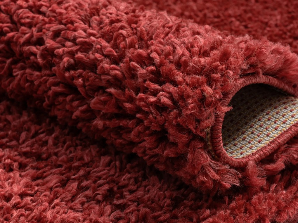 My Flair, Kusový koberec My Shaggy weinrot, 200x290, červená, chodba / predsieň