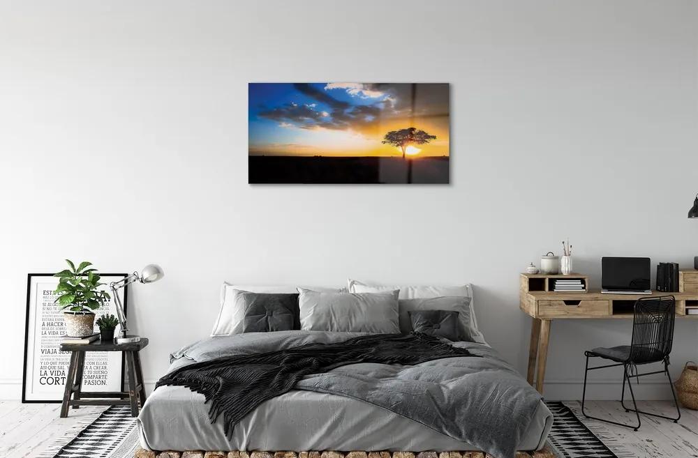 Obraz na skle mraky strom 120x60 cm