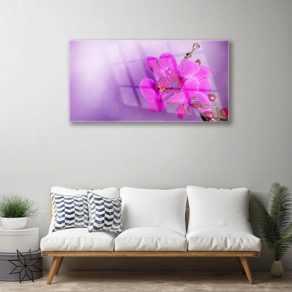 Skleneny obraz Kvety plátky orchidea 140x70 cm