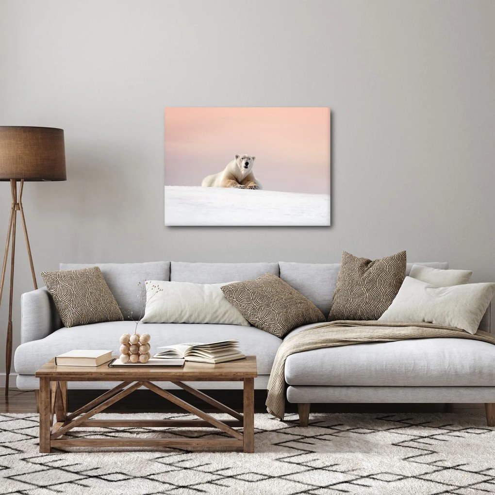 Obraz - Ľadový medveď (70x50 cm)