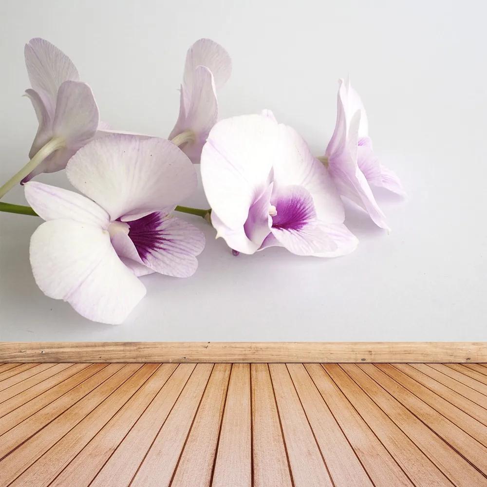 Fototapeta Vliesová Biele orchidey 250x104 cm