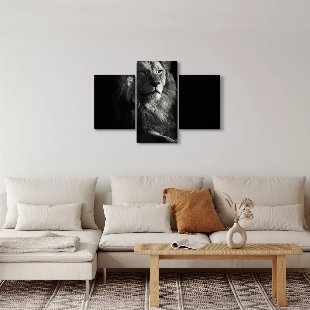 Obraz - Lev (90x60 cm)