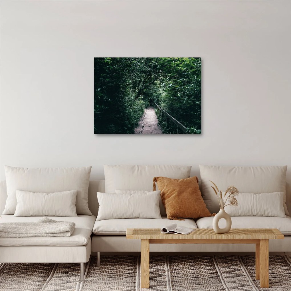 Obraz - Cesta lesom (70x50 cm)