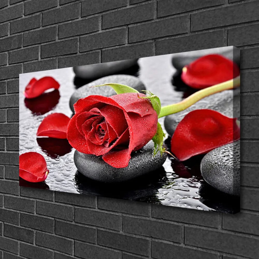 Obraz Canvas Ruže kvet kamene zen 140x70 cm