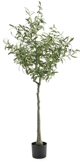 Umelá rastlina EVERGREEN, olivovník, výška 1700 mm, 1 ks