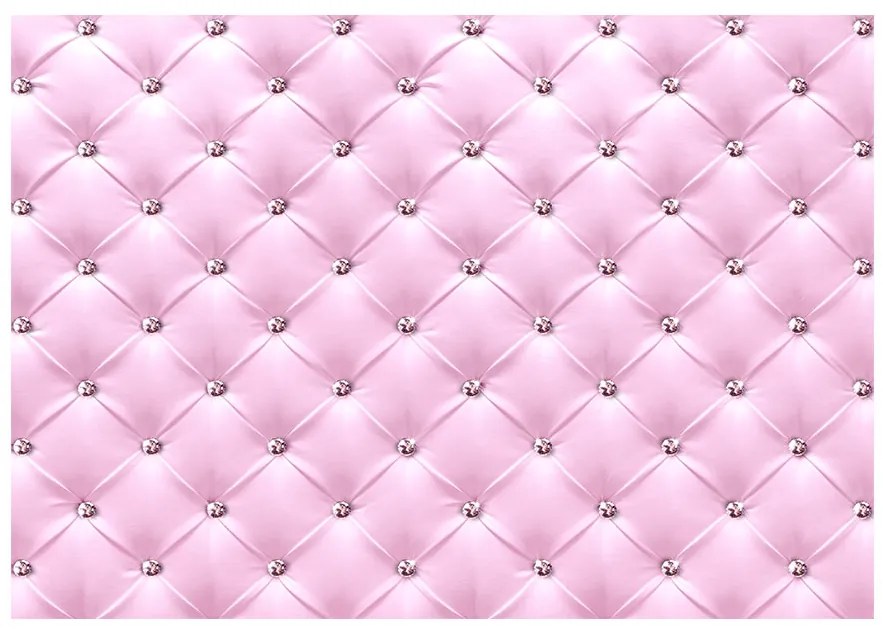Artgeist Fototapeta - Pink Lady Veľkosť: 150x105, Verzia: Standard