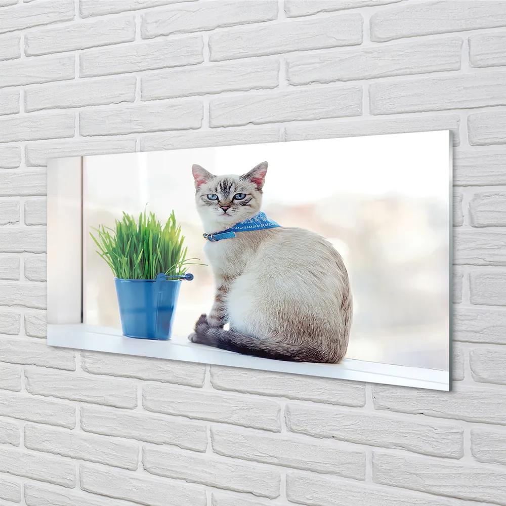 Obraz na akrylátovom skle Sediaci mačka 140x70 cm