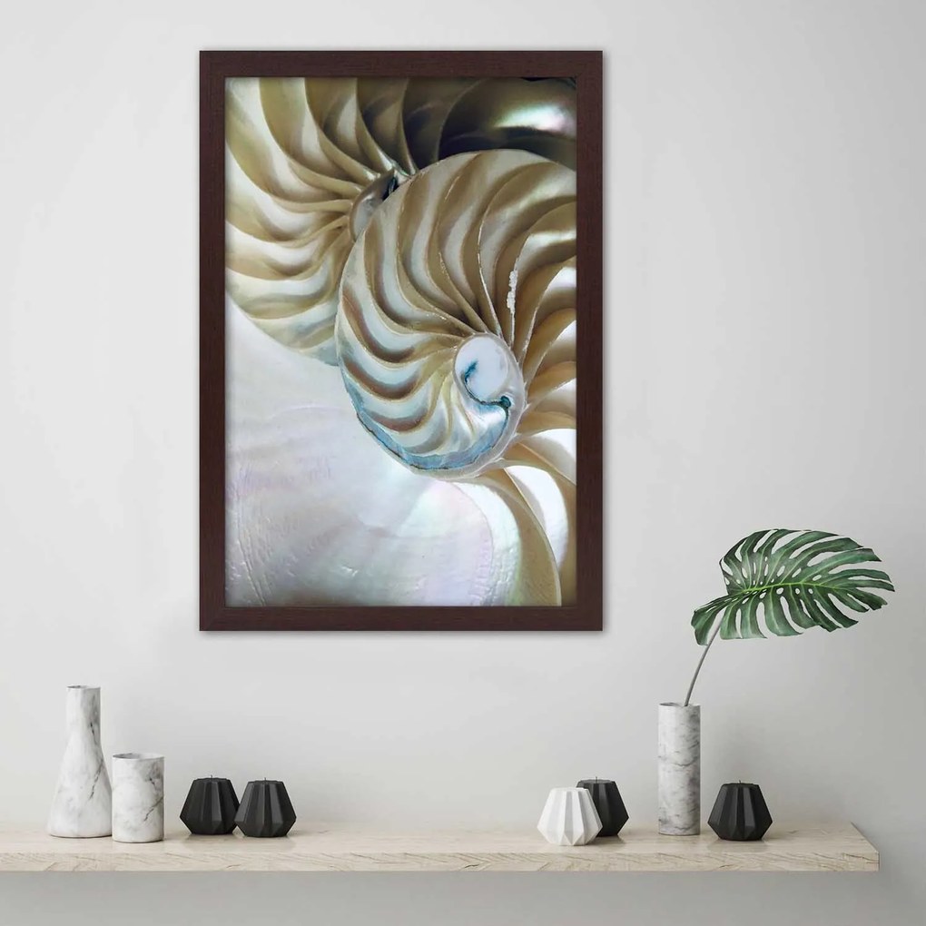 Gario Plagát Vnútro škrupiny Farba rámu: Bez rámu, Rozmery: 30 x 45 cm