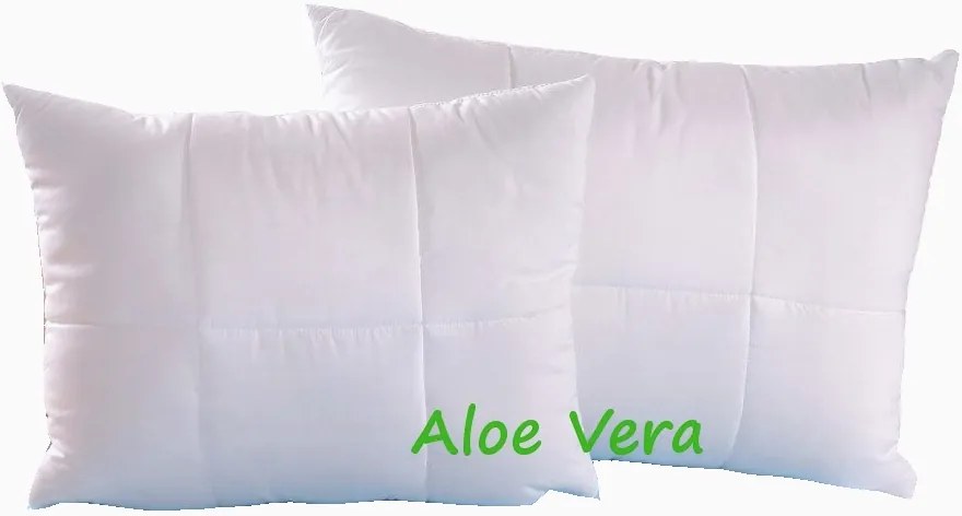 Brotex Vankúš Aloe vera 50x70 cm na zips