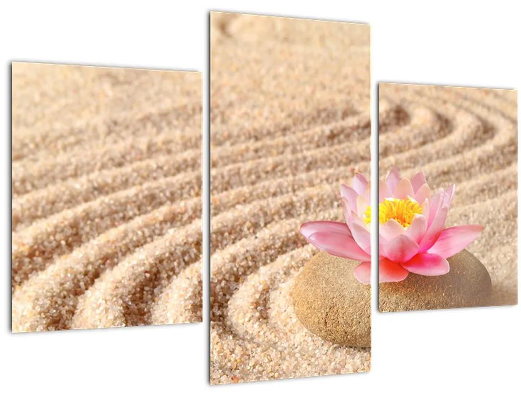Obraz kameňa s kvetinou na piesku (90x60 cm)