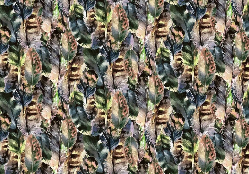 Fototapeta - Perie (254x184 cm)