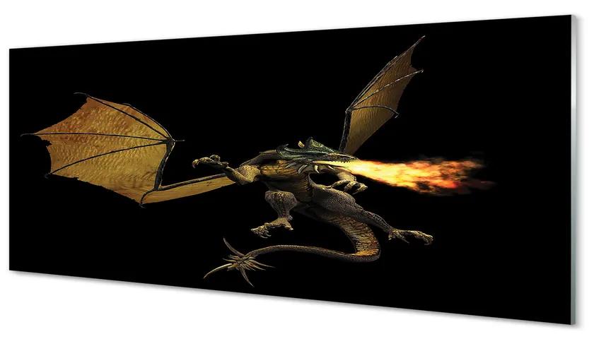 Obraz plexi Ohnivého draka 120x60 cm