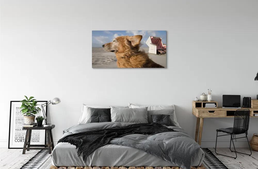 Obraz na plátne Hnedý pes beach 140x70 cm