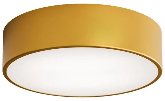 Brilagi - Stropné svietidlo CLARE 2xE27/24W/230V pr. 30 cm zlatá