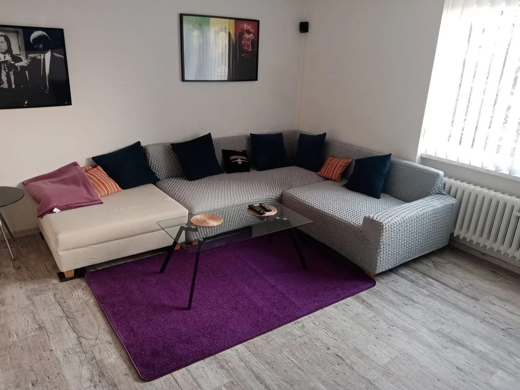 Hanse Home, Kusový koberec Fancy 103005 Lila - fialový, 100x150, fialová, detská izba