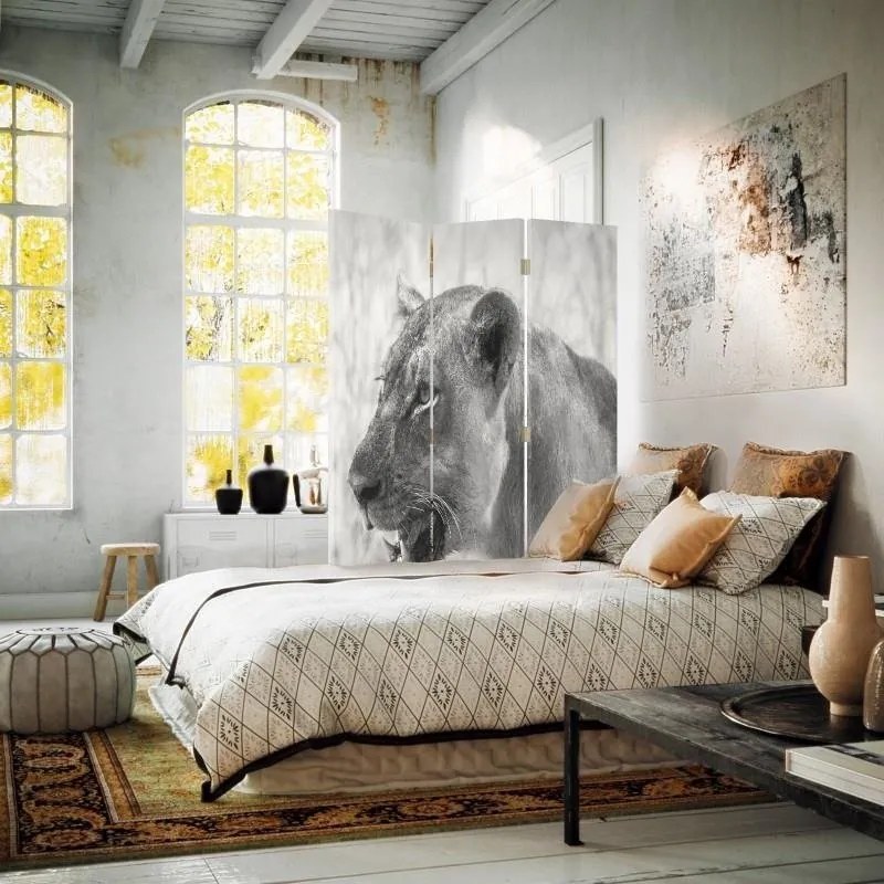 Gario Paraván Lioness Rozmery: 110 x 170 cm, Prevedenie: Klasický paraván