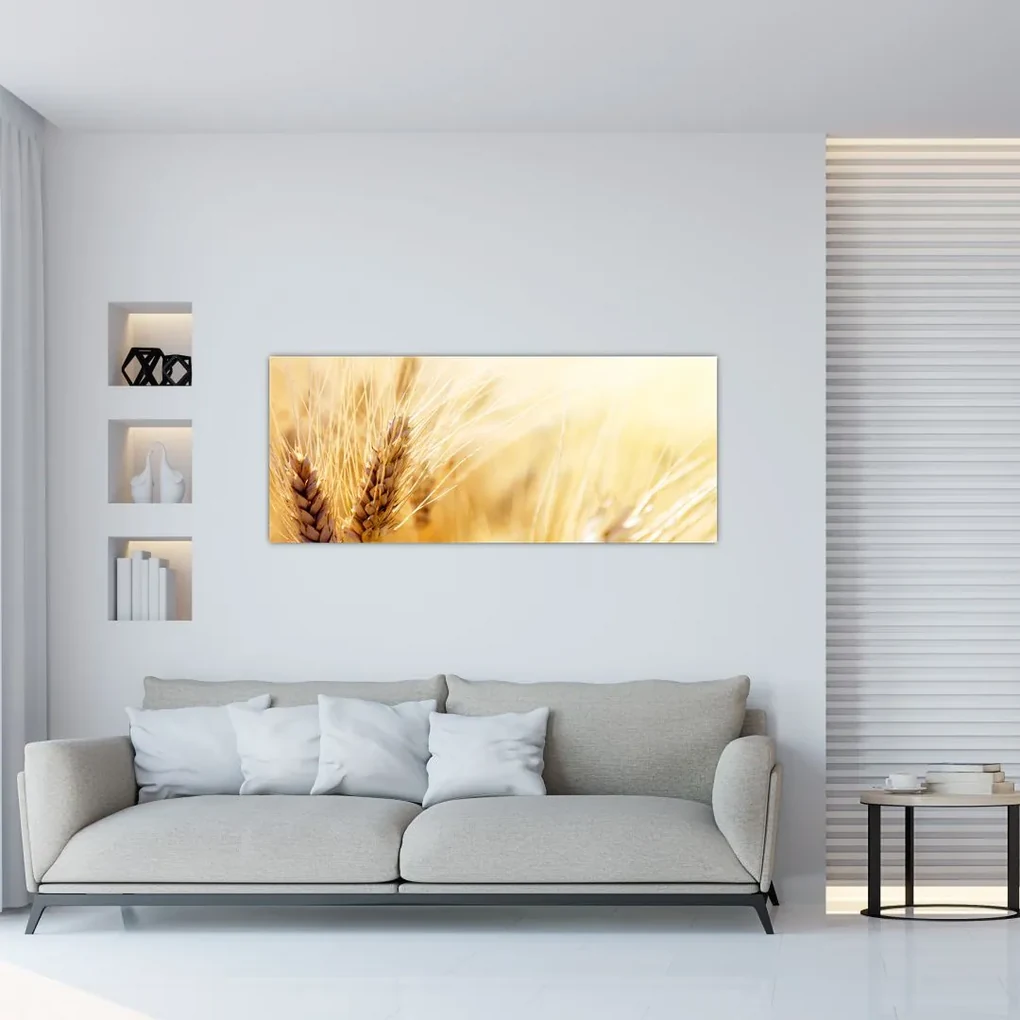 Obraz - detail obilia (120x50 cm)