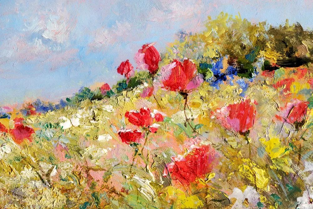 Obraz divé maky na lúke