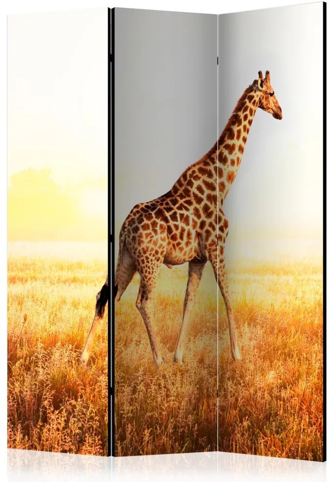 Artgeist Paraván - giraffe - walk [Room Dividers]