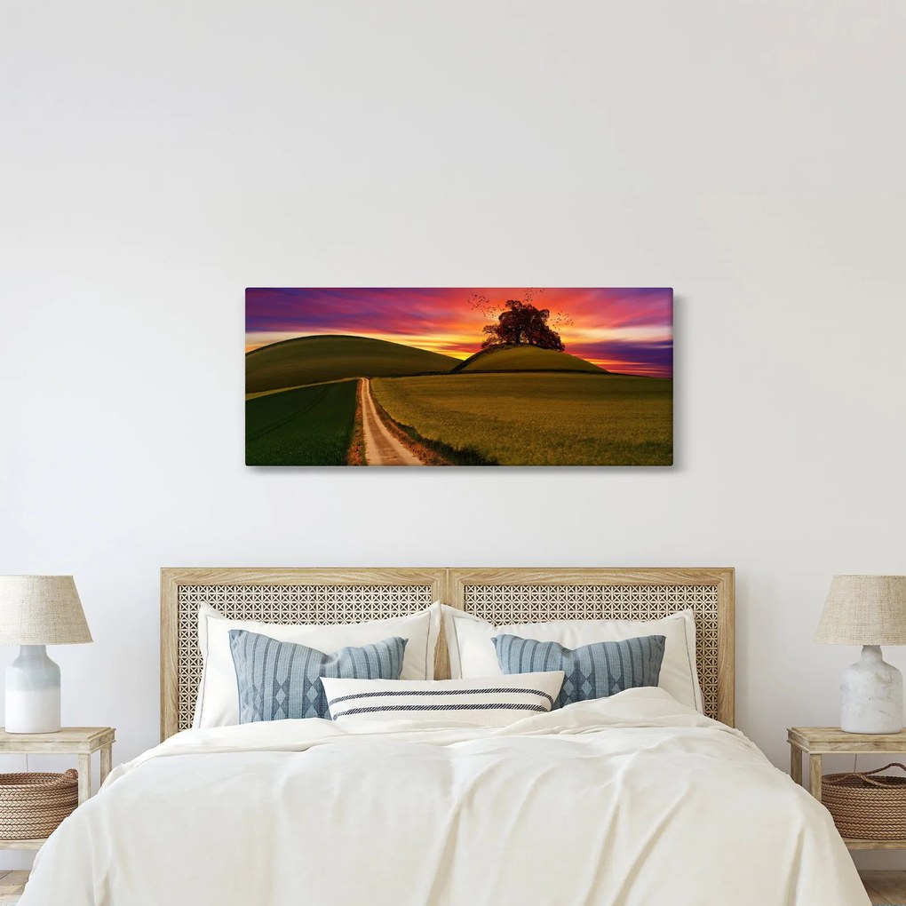 Obraz poľa a farebného neba (120x50 cm)