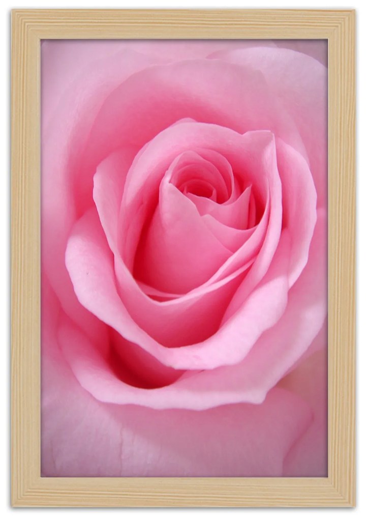 Gario Plagát Romantická ruža Farba rámu: Bez rámu, Rozmery: 30 x 45 cm