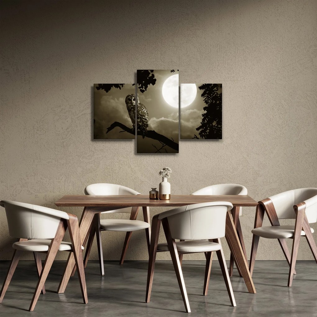Obraz - Nočná sova, zlatá (90x60 cm)