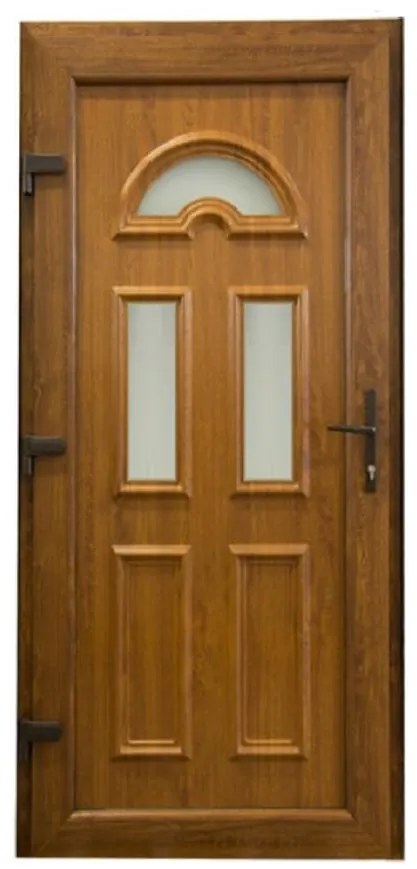 Dvere vchodové Ana 2 D24 90L zlatý dub